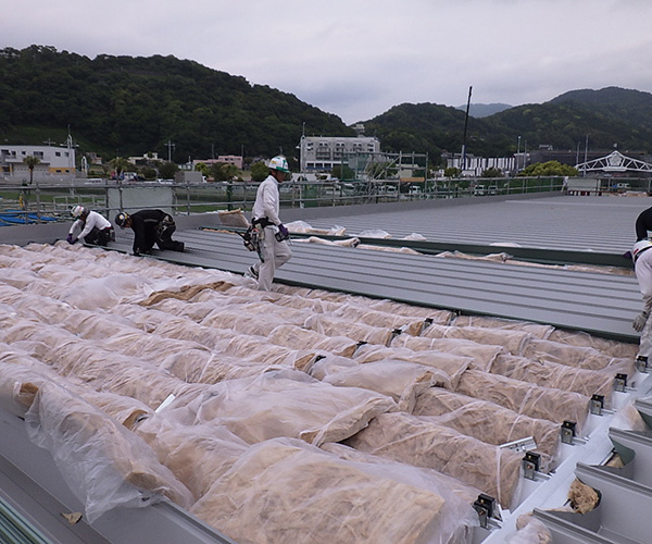 海陽ヨットハーバー整備工事 屋根工事3